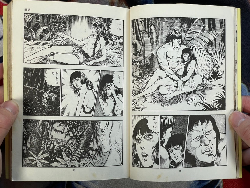 You Adoro 2 by Mieko Kawasaki (1979)