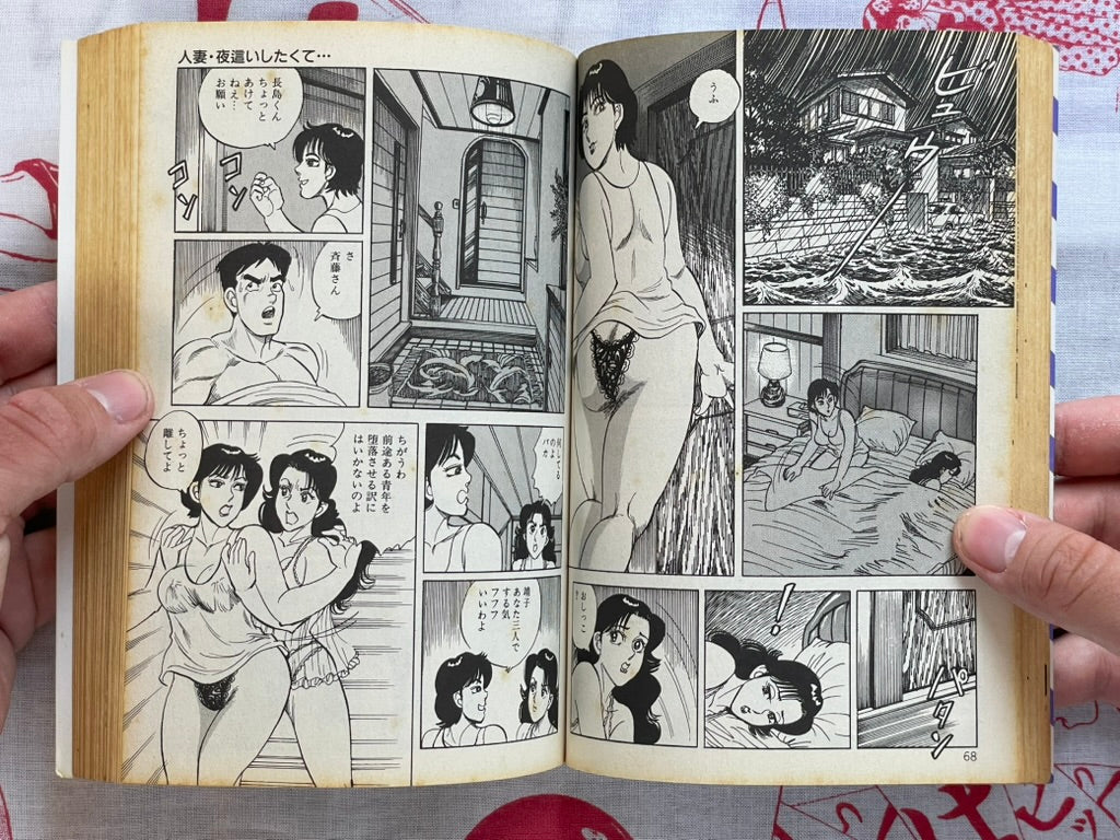 Young Wife Full of Desire by Akira Shima (1997)
