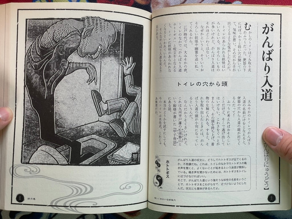 Yokai Hole by Kenji Murakami & Shinbun Udagawa & Yukio Amano (2011)