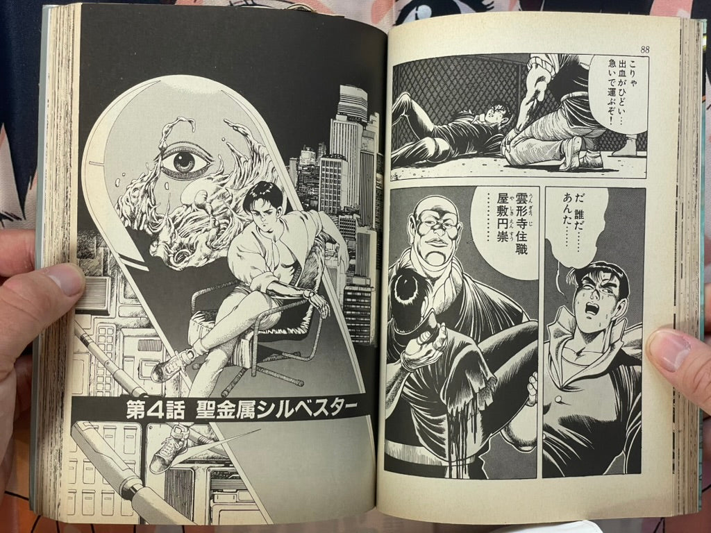 Silverstar by Itahashi Syufu (1991)-thumbmail-10