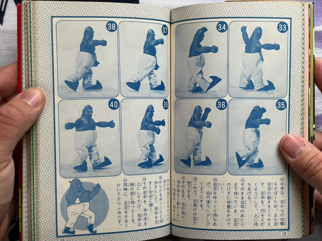 Butcher Heel Wrestler Super Encyclopedia (1981)