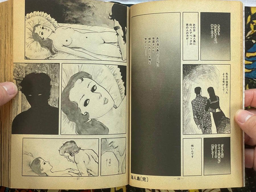 Young Girl Yumemachigusa by Shinichi Muraso (1984)