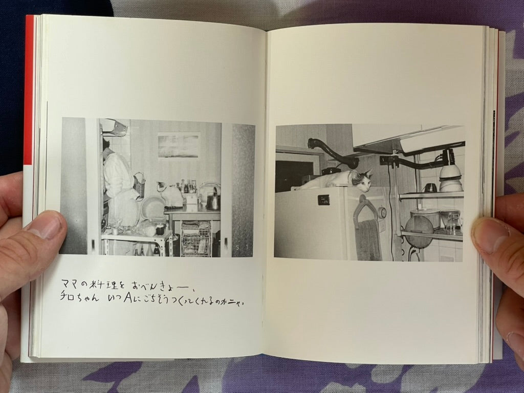 Chiro, My Love - (Bunko Edition) Hardcover by Nobuyoshi Araki (2007)