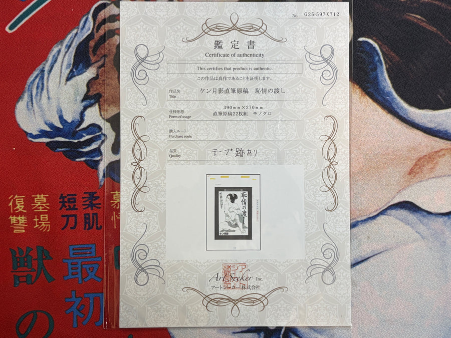 Ken Tsukikage Genga Artwork (Set of 22 Pages) - COE Included