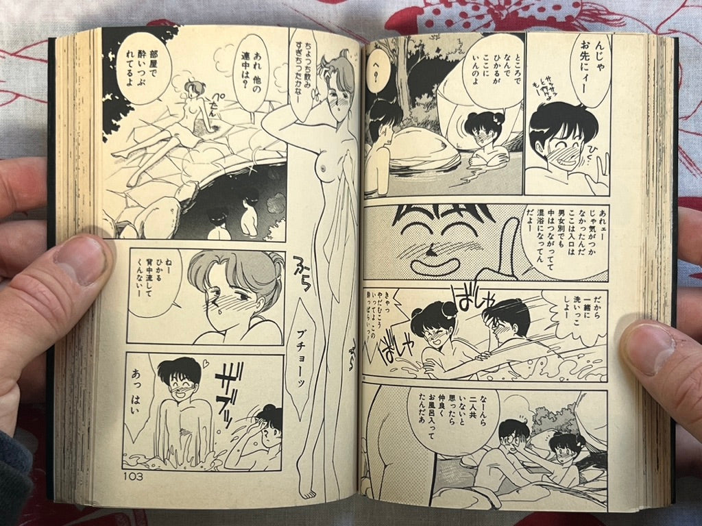 Tokimeki C Girl Bunko Edition by Arimura Shinobu (1991)
