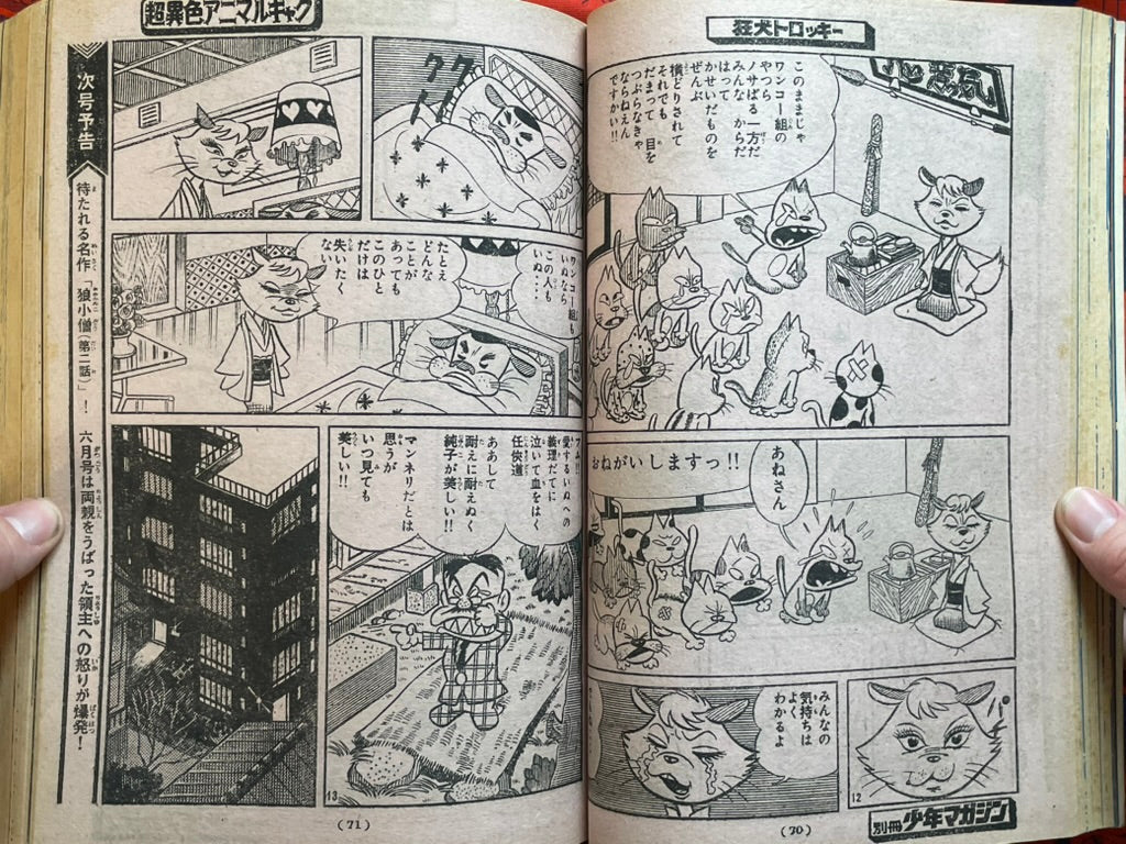 Monthly Shonen Magazine Extra Edition - Ikegami Ryoichi Spider-Man (5/1971)