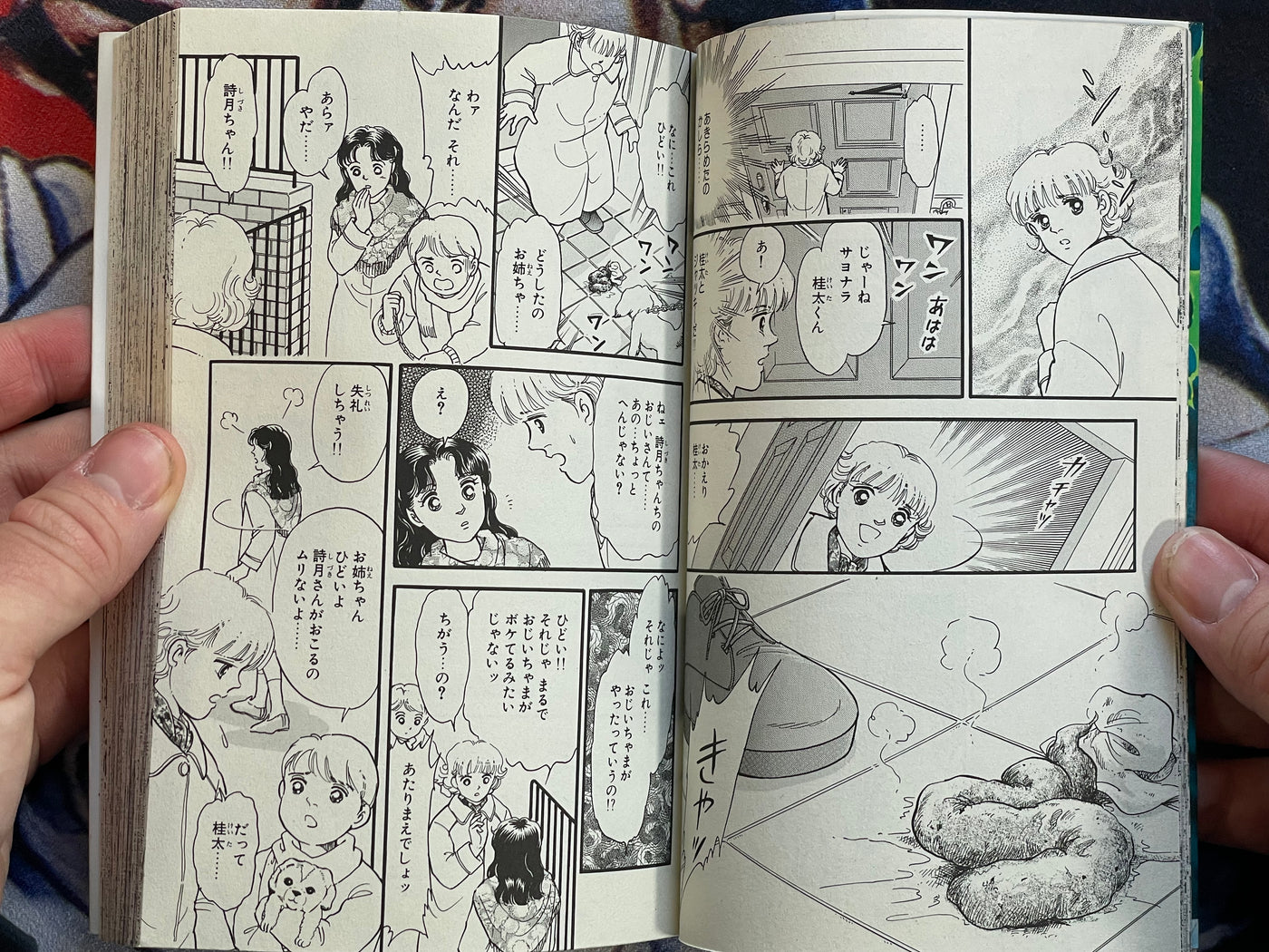 Mad House by Yoshimi Seki (1995)