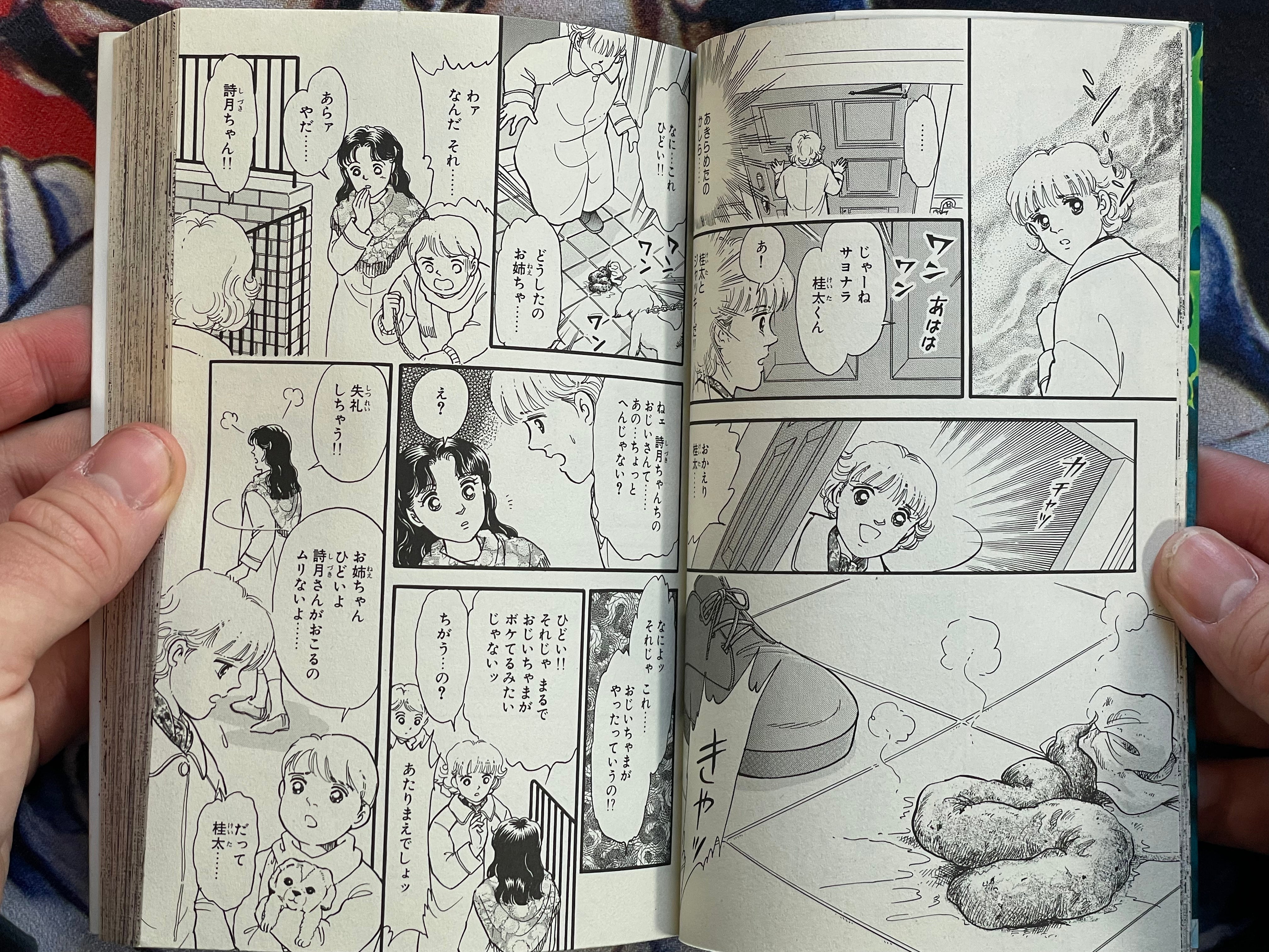 Mad House by Yoshimi Seki (1995)