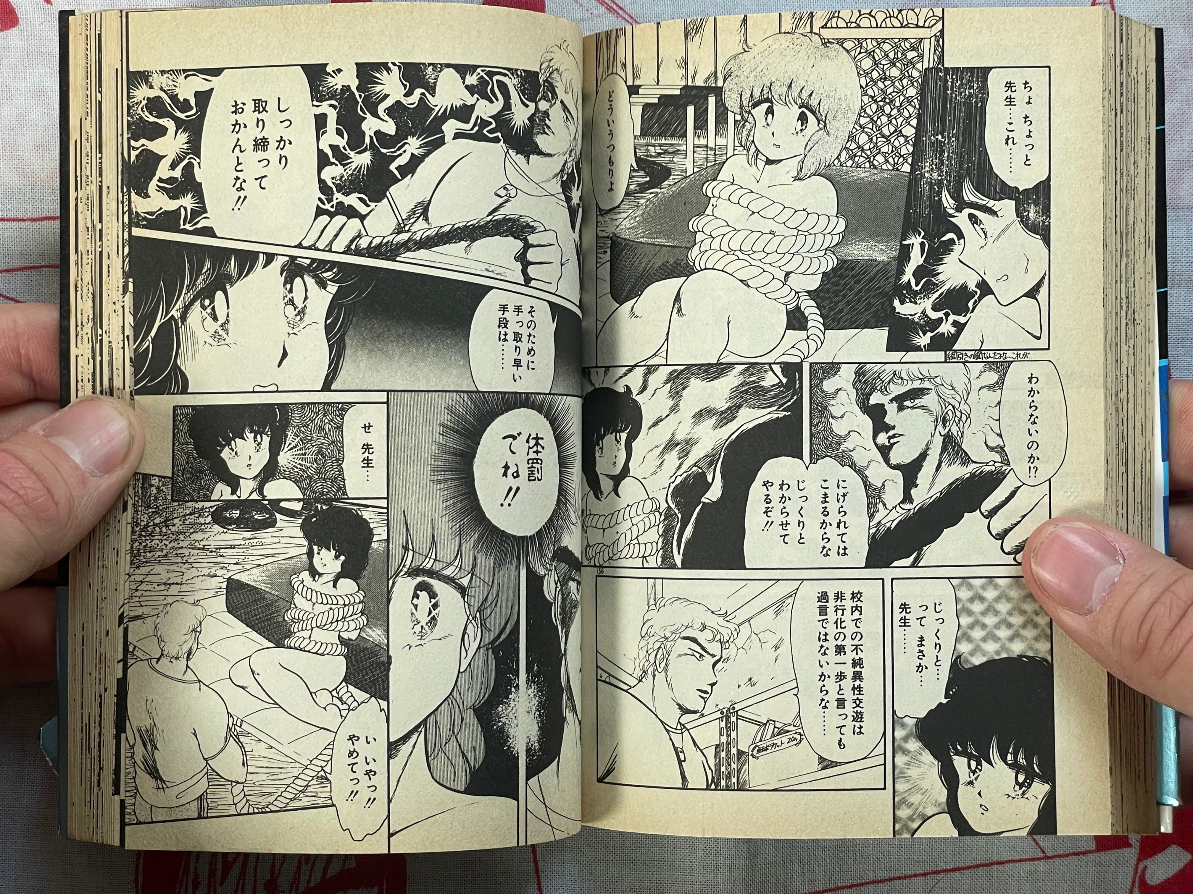 Very Sexy Tamatebako by Negura Nao (1990)
