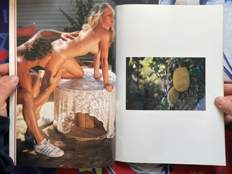 Love Storm: L'Orage D'Amour by Shizuki Obuchi (1982)