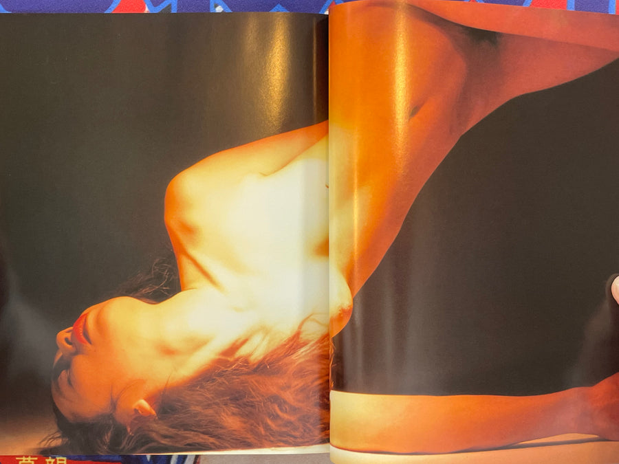 Nude Photo Special Issue by Nippon Camera Mook (1995/8)
