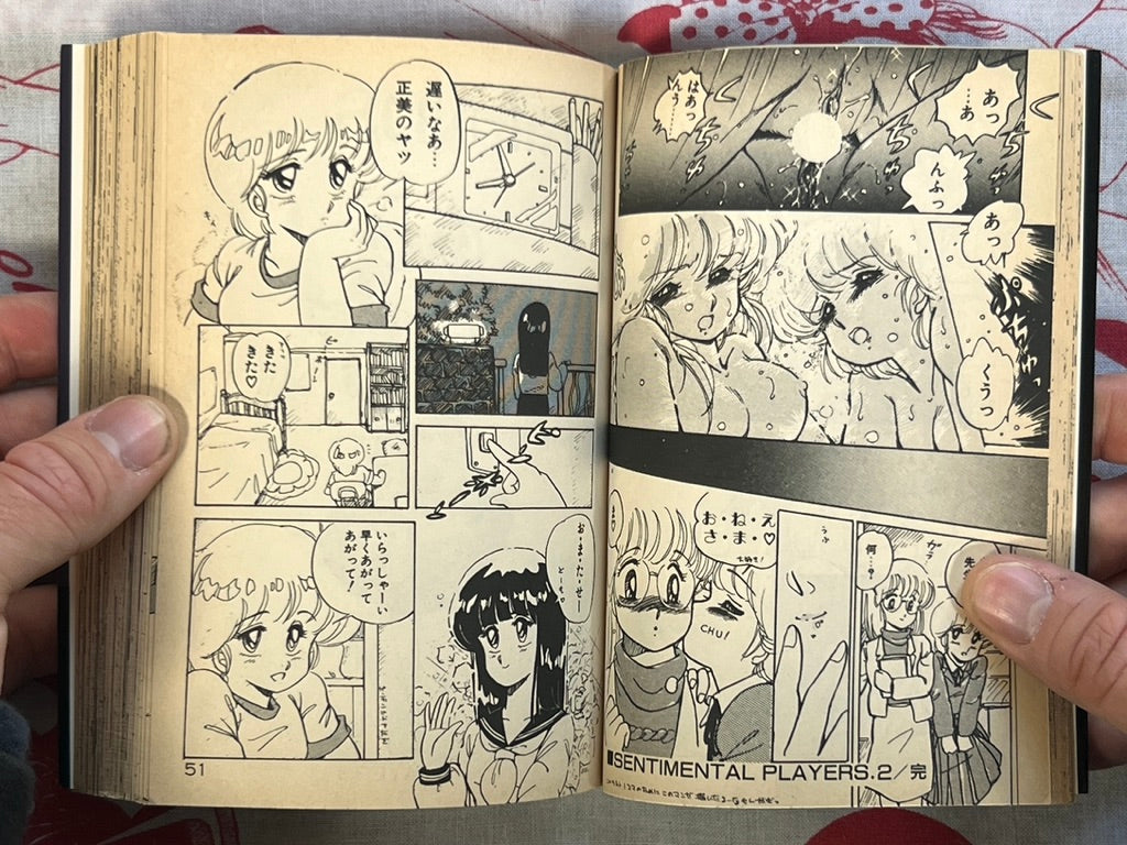 Minato-chan is 17! - bunko size by Amagi Kei (1991)