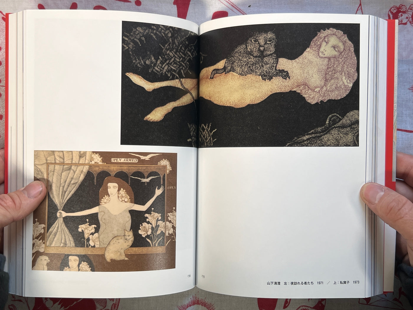 Cats Everywhere by Kyuryudo Publishing (2011)