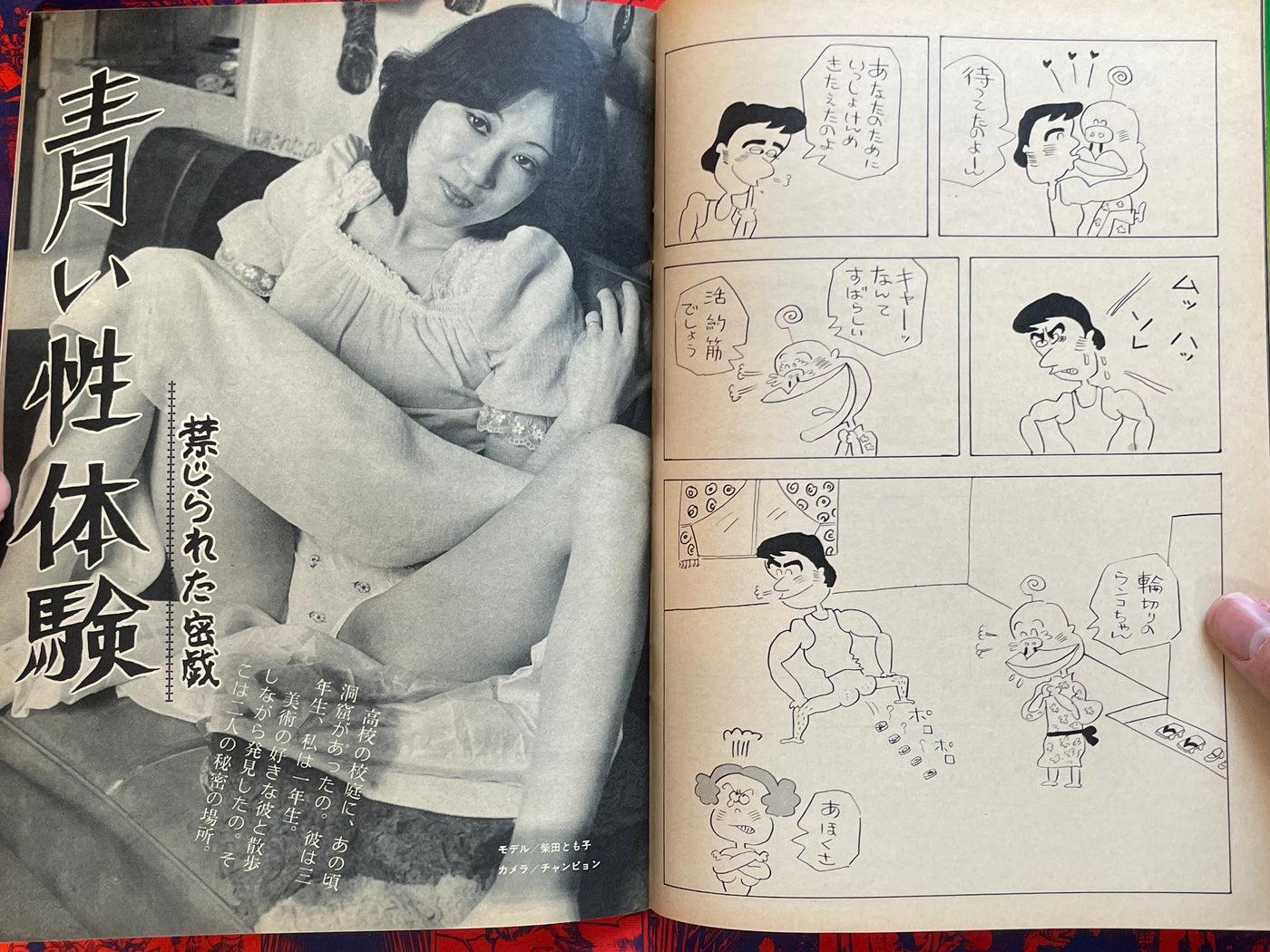 Coquette Magazine Vol. 48 (8/1975)