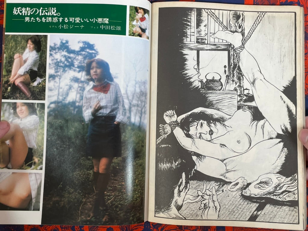 Monthly Lupin Magazine (12/1976)