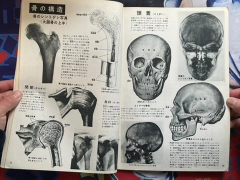 The Science Graph Vol. 7: Human Body Edition (1962)