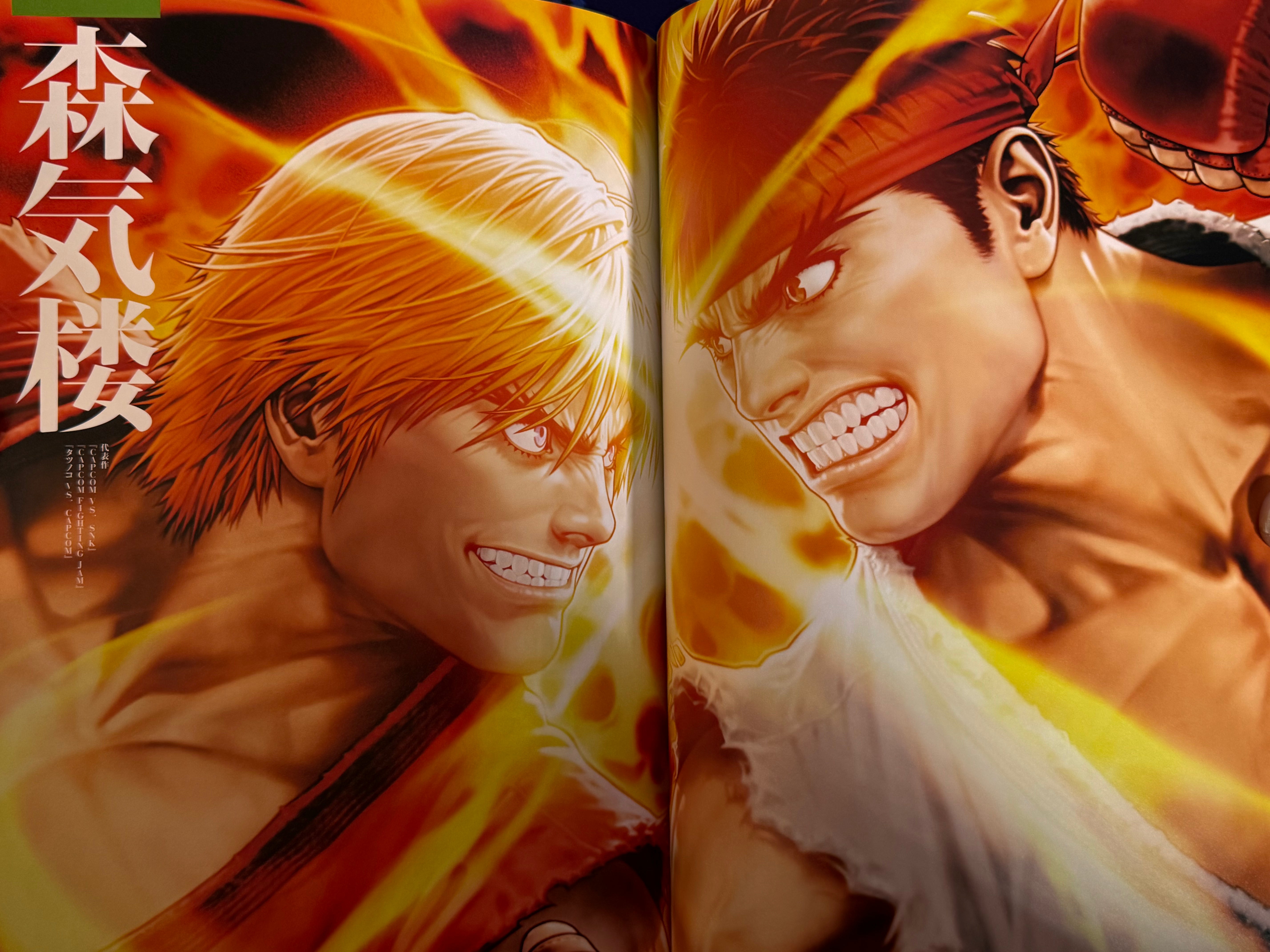 CAPCOM Street Fighters Art Works Supremacy (2009)