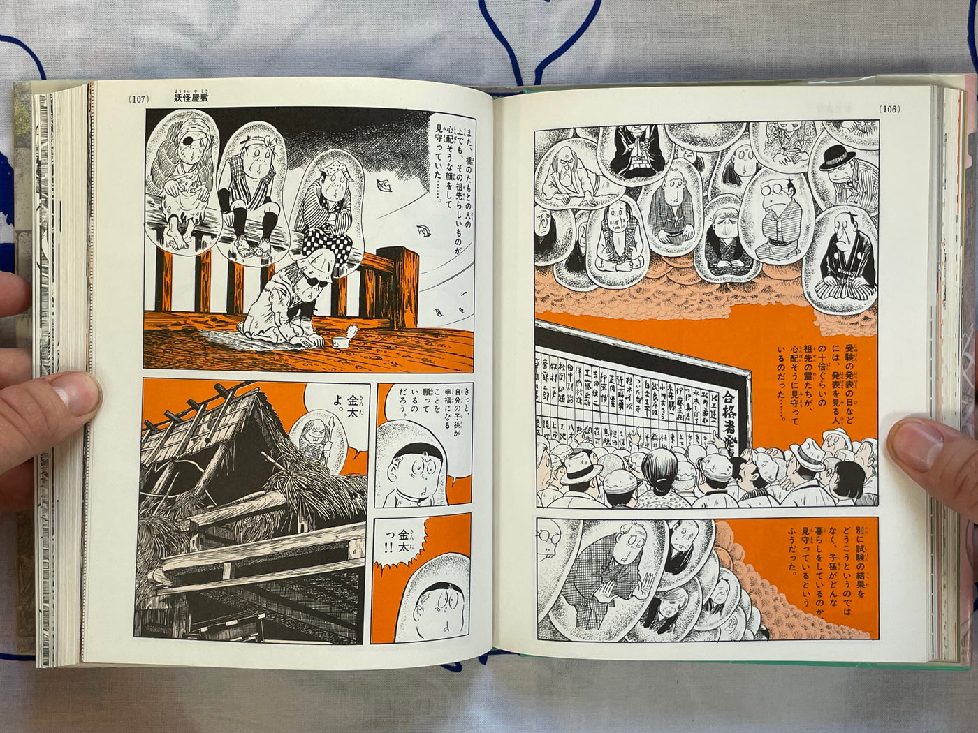 Introductory Yokai Professor - Hardcover by Mizuki Shigeru (1989)