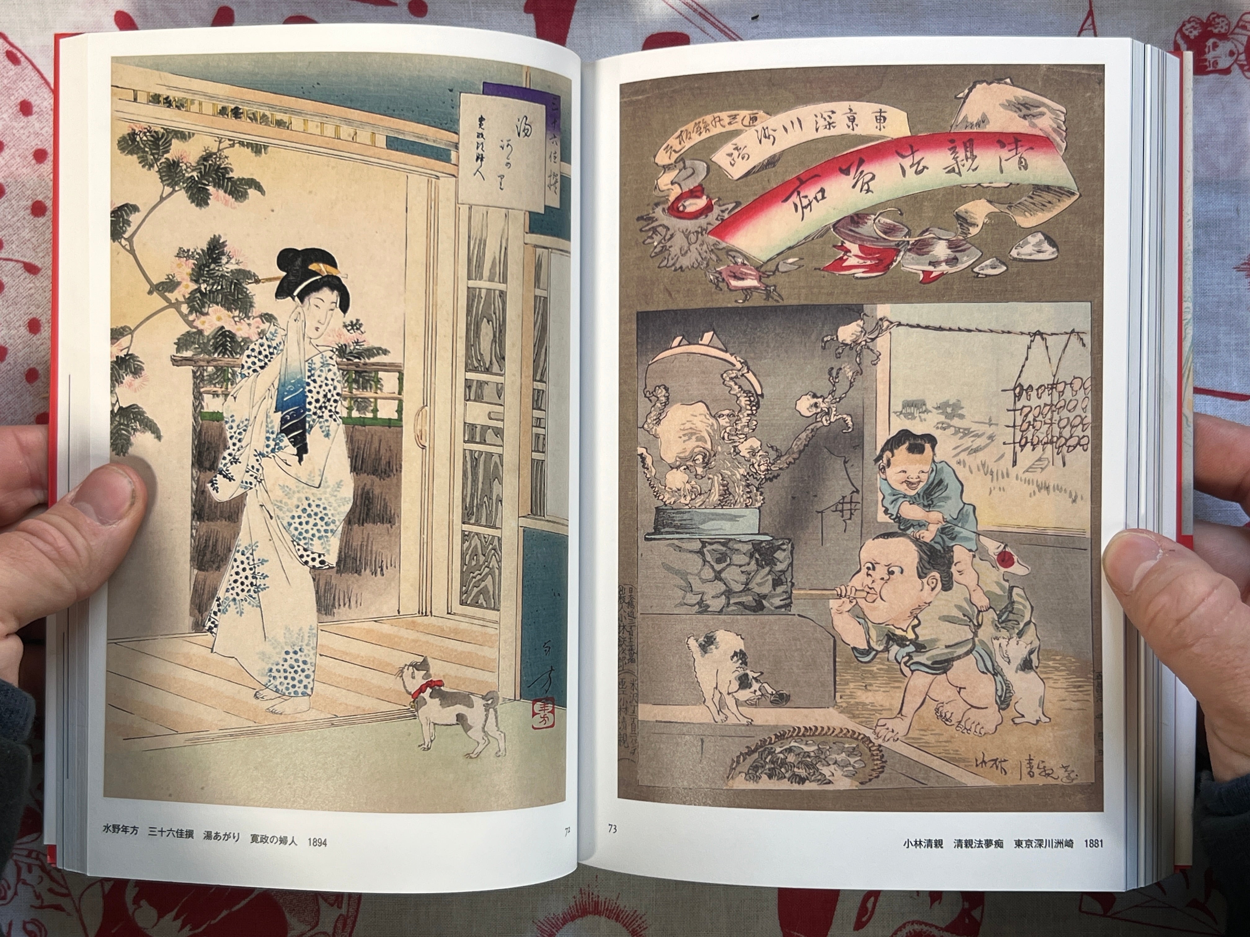 Cats Everywhere by Kyuryudo Publishing (2011)