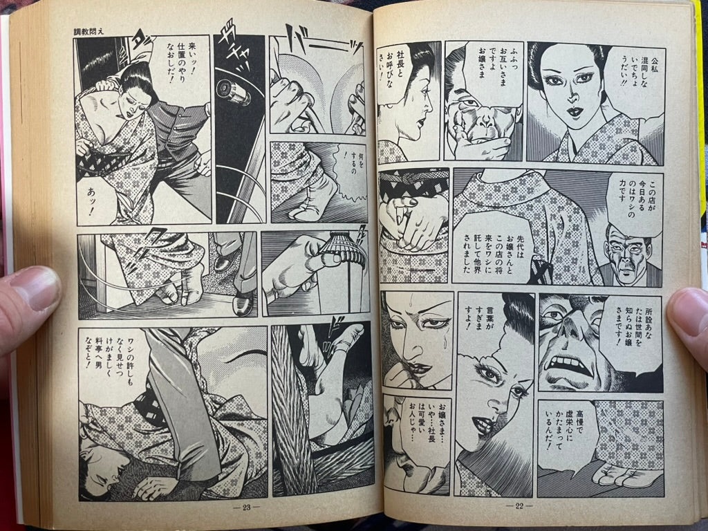 Moan at the Whip by Sugawara Takuya (1981)