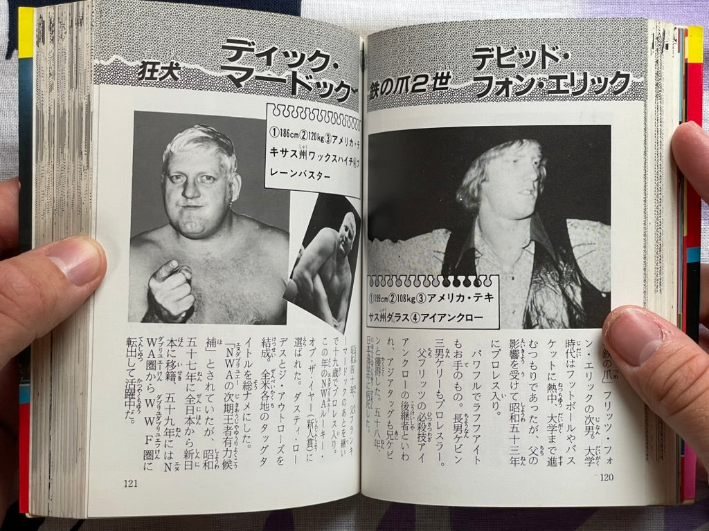 Pro Wrestling Everything All Together - Bunko Edition by Inoue Yoshihiro (1984)
