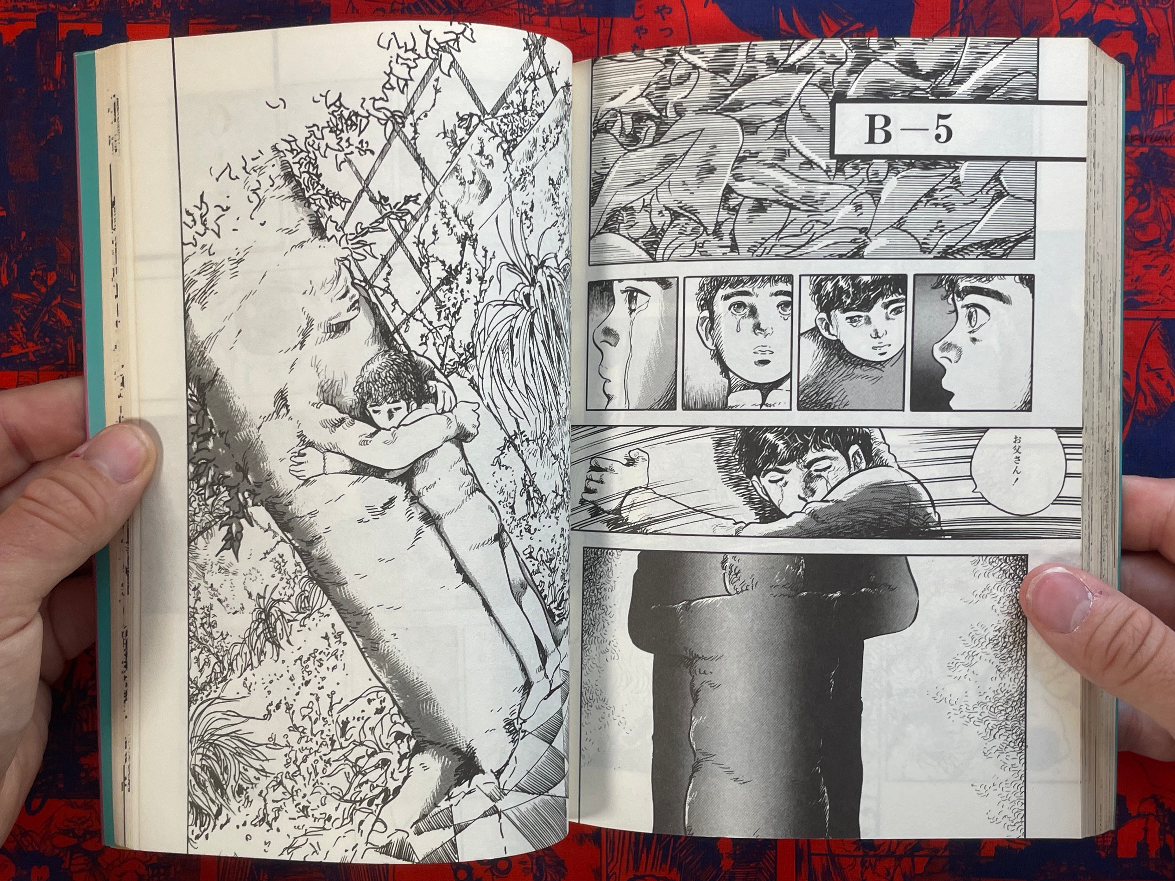 Metamorphosis BY Kosuzu Hiromi (1983)