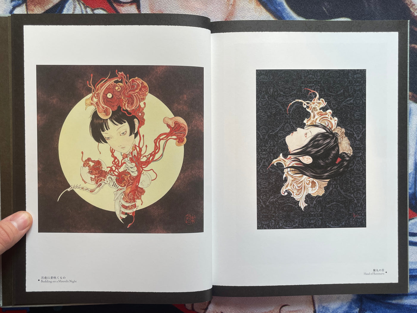 SIGNED Coffin of a Chimera by Yamamoto Takato - Hardcover + Slipcover (2024)