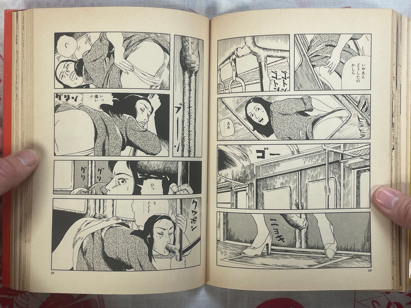 Cosmos Hill by Hiromi Hiraguchi (1978)