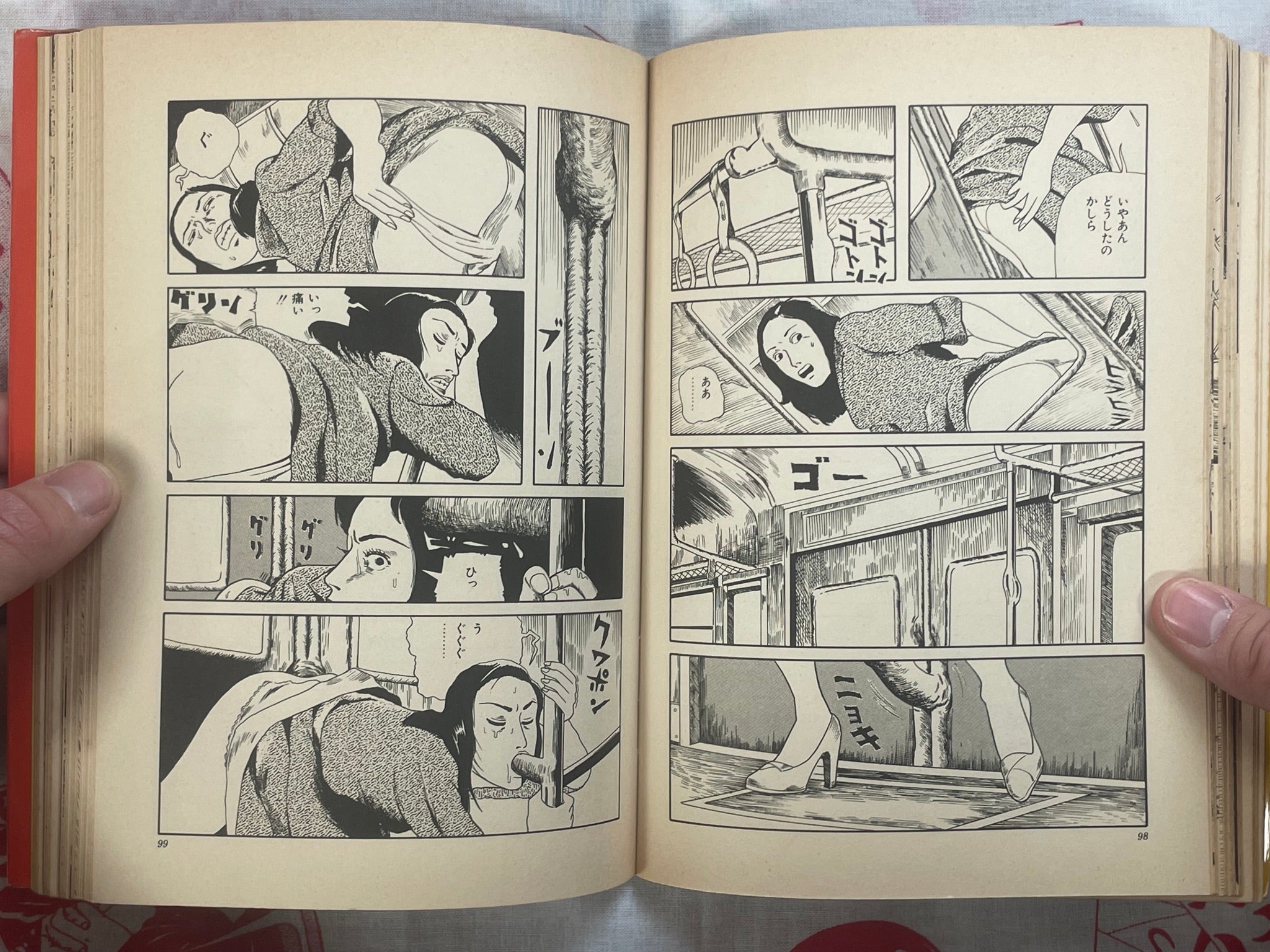 Cosmos Hill by Hiromi Hiraguchi (1978)