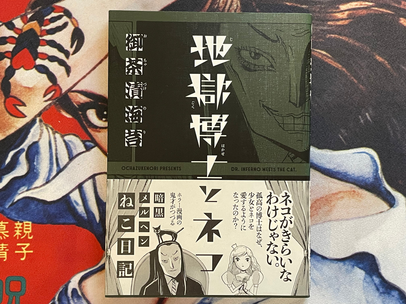 Dr. Inferno Meets The Cat by Ochazukenori (2019)
