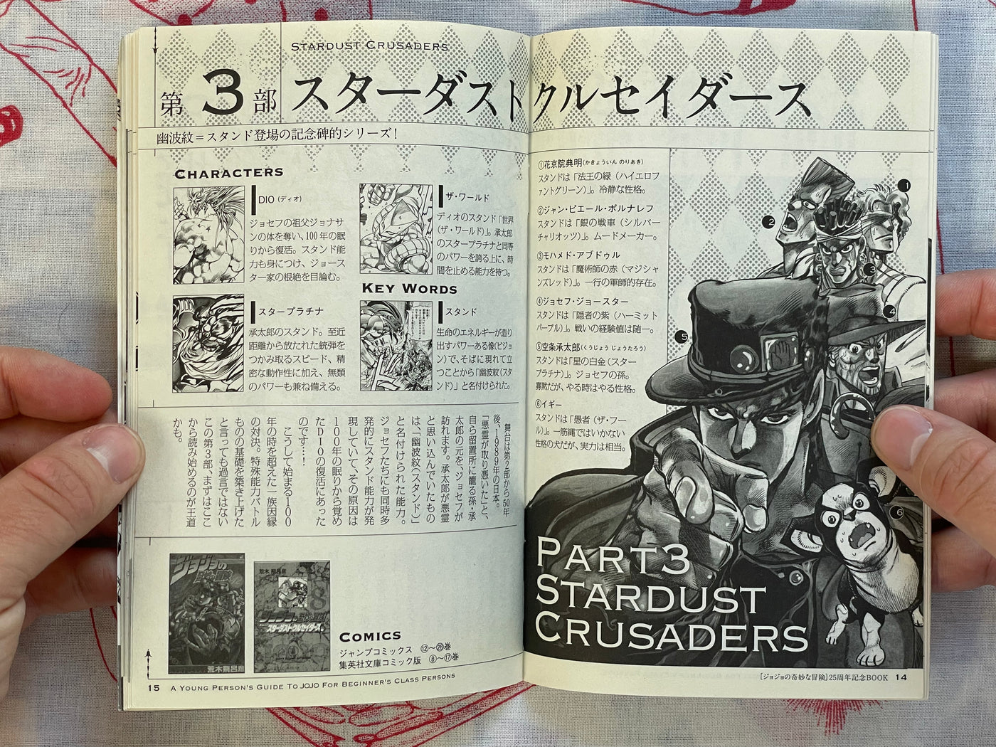 A Young Person's Guide To JoJo for Beginner's Class Persons - JoJolion 3 Bonus Booklet (2012)