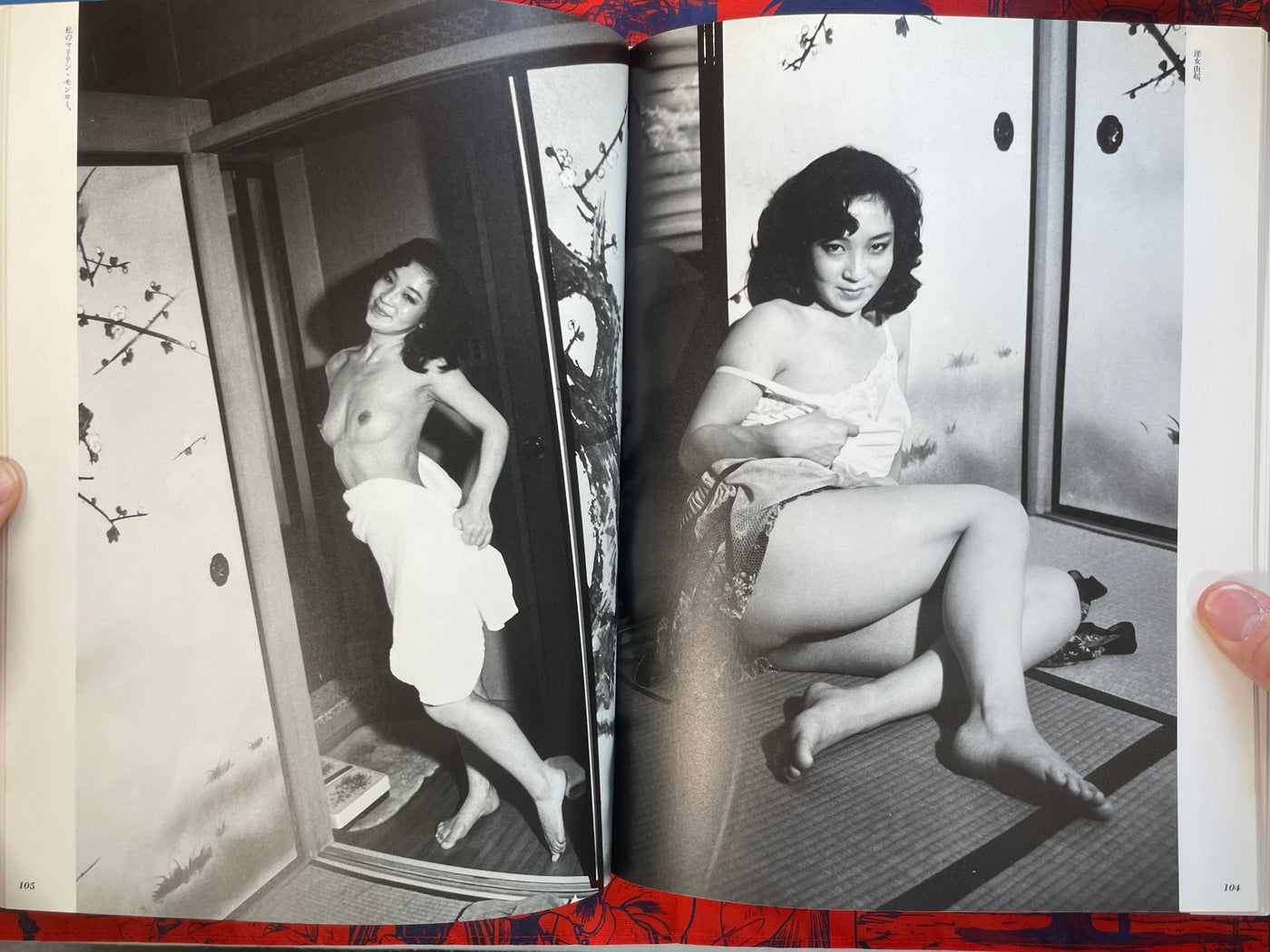 Photo Novel by Araki Nobuyoshi (1981)