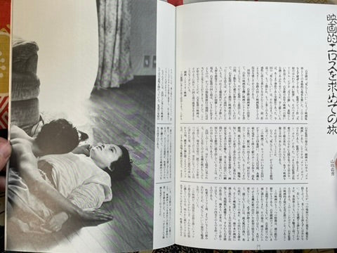 Can I Die / Original Sin - Movie Pamphlet by Ishii Takashi (1992)