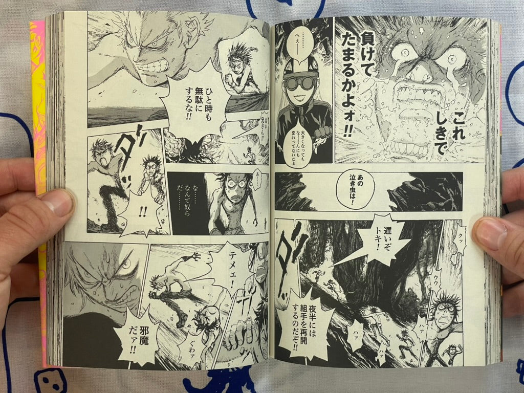 Evil Flowers: Fist of the North Star Jagi Side Story 1-2 Full Set by Shinichi Hiromoto (2009)-thumbmail-9