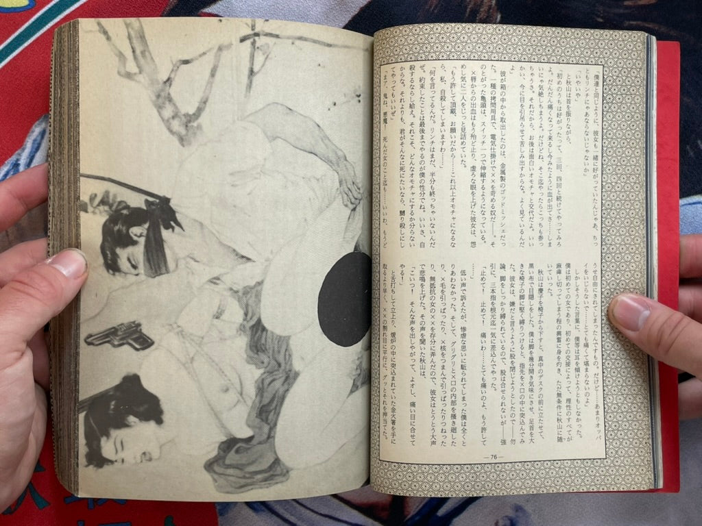 SM Higa Book World: SM Secret Novel Extra Edition (1984)