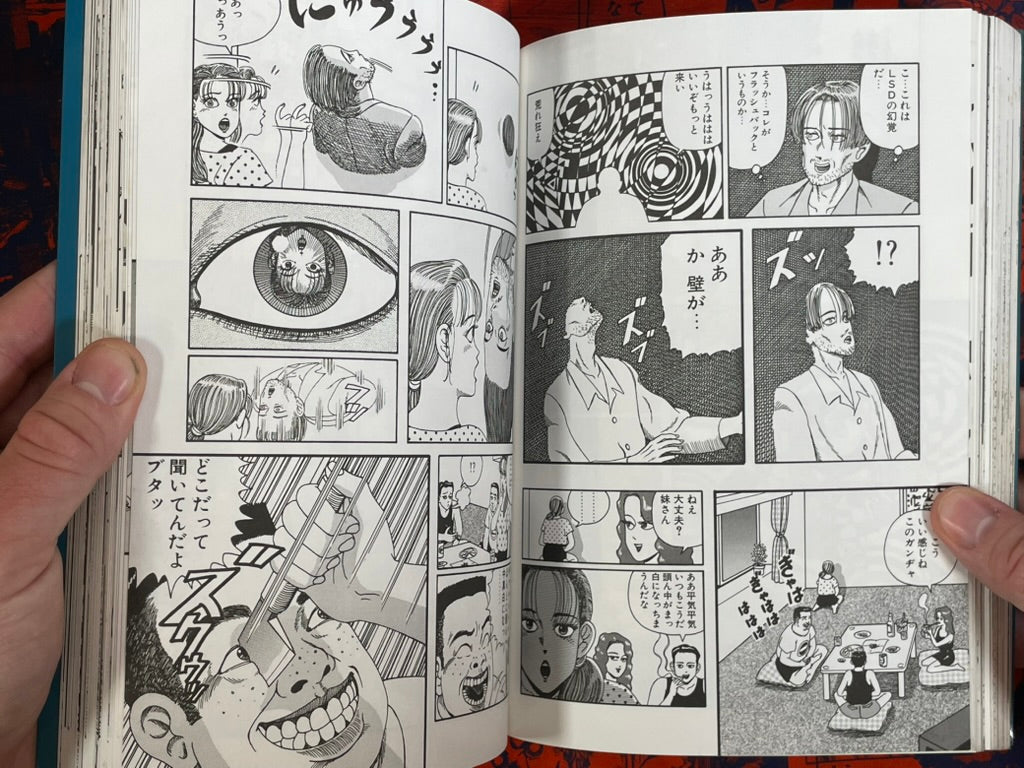 Pangaea by Hajime Yamano (1993)