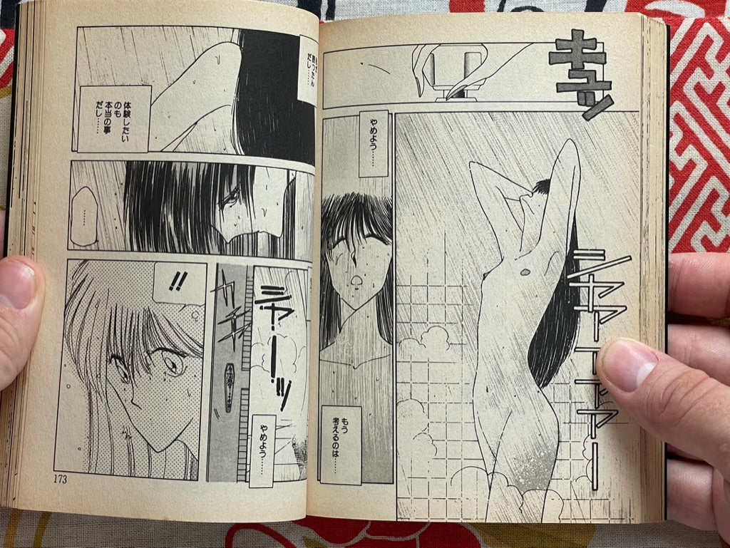 Girl Next Door Bunko Edition by Eri Mizushima (1988)