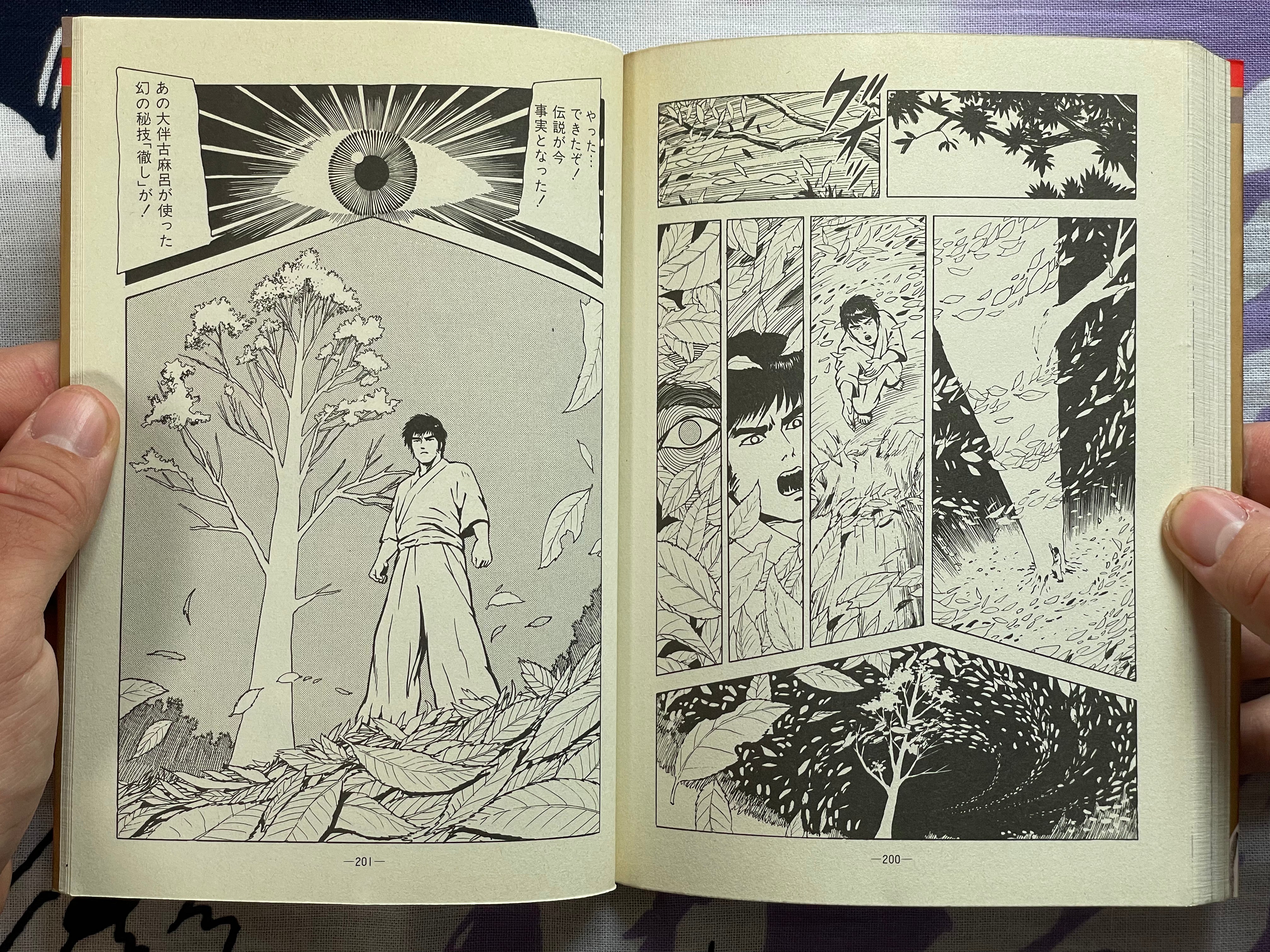 Killer Fist Technique for Koppou Marital Arts Illustrated by Kaze Shinobu (1988)