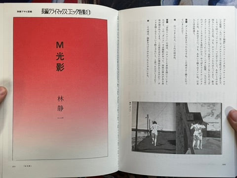 Hayashi Seiichi Manga Techniques by Aran Toochika, Kawakatsu Tokushige (2025)