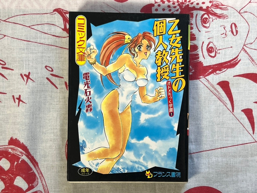 Teacher Otome's Private Instruction - bunko size by Denkosekka Go (1994)