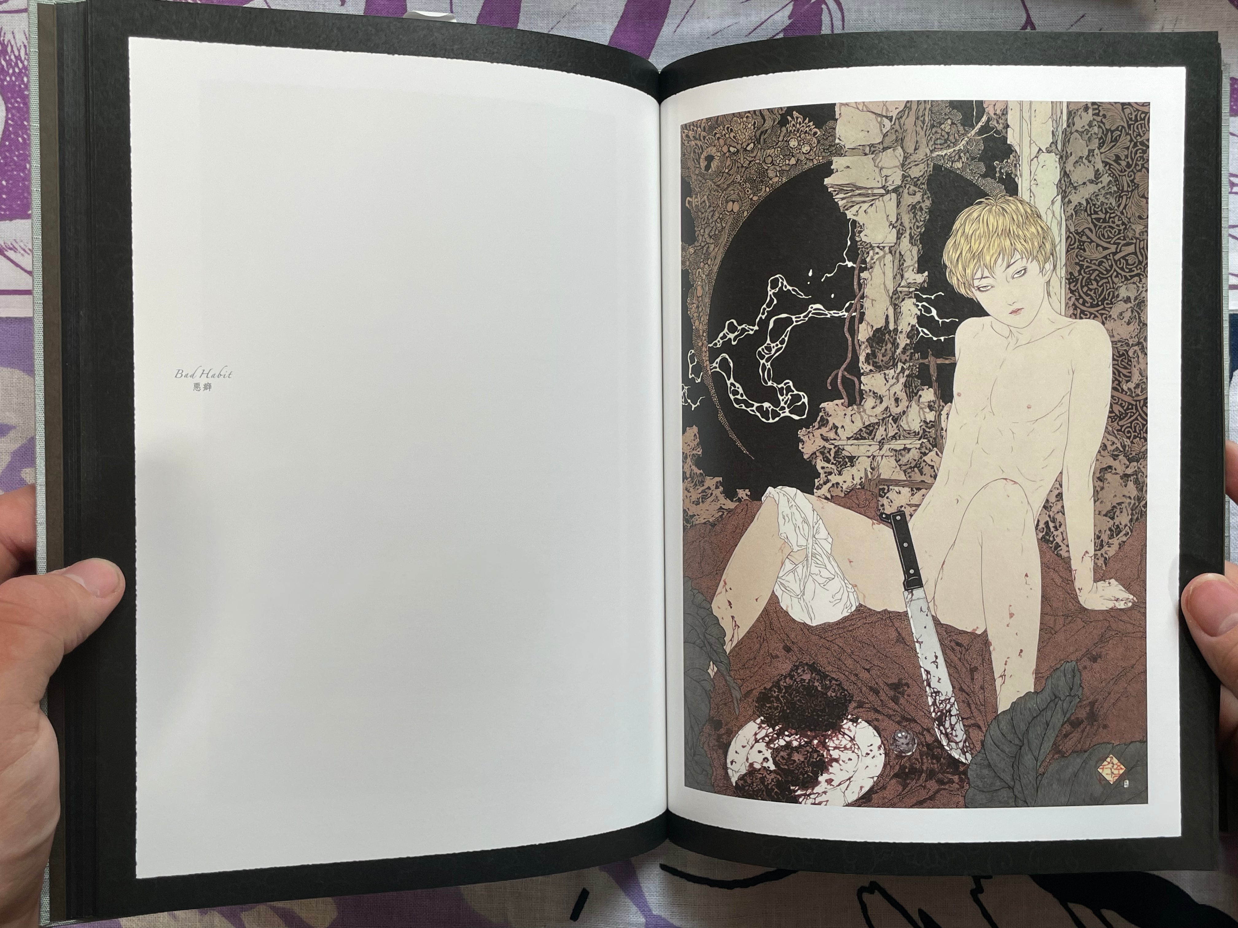 SIGNED Allure of Pharmakon - Hardcover + Slipcover by Yamamoto Takato (2023)