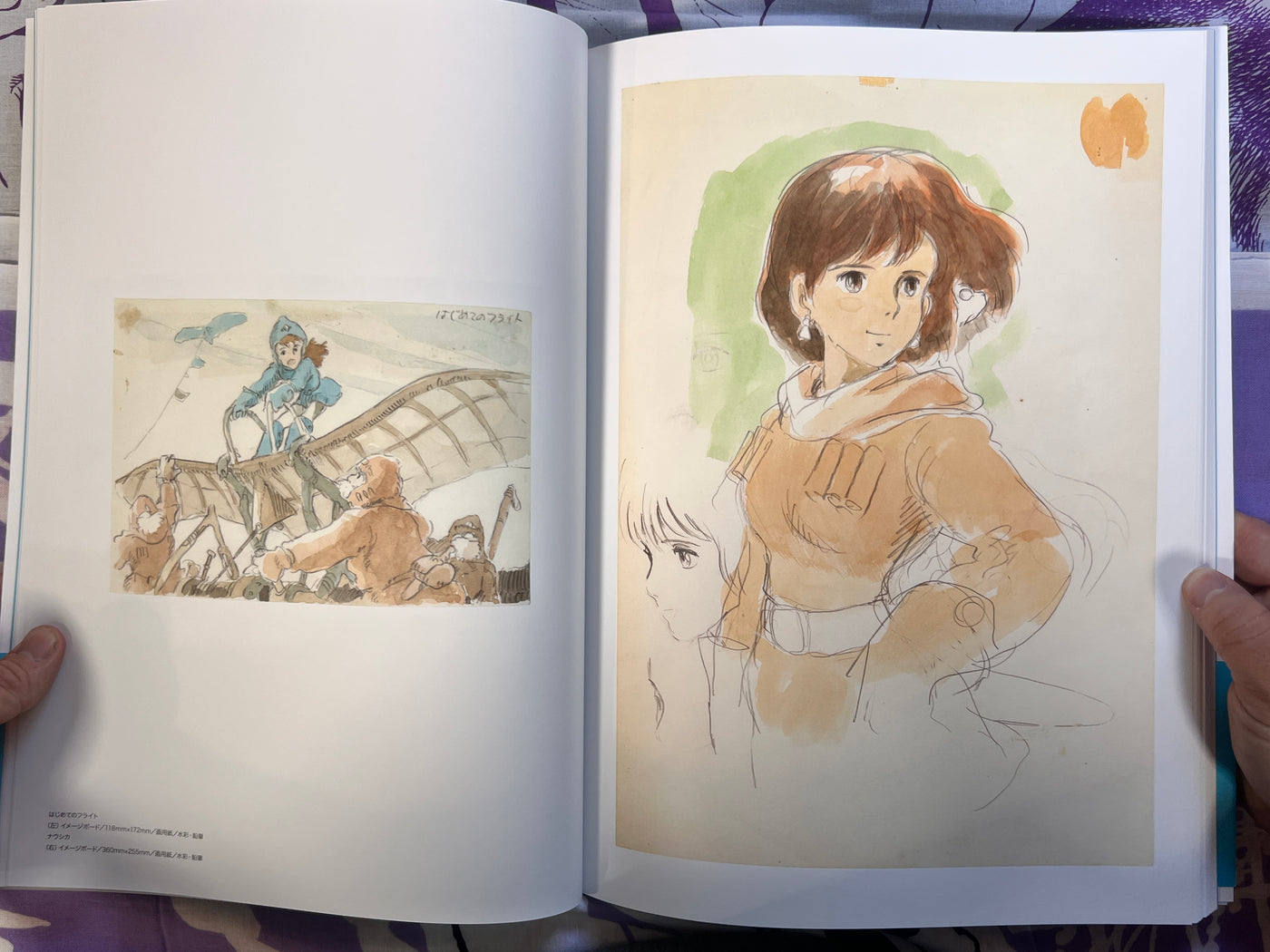 The Art of Nausicaa of the Valley of the Wind by Studio Ghibli (2024)