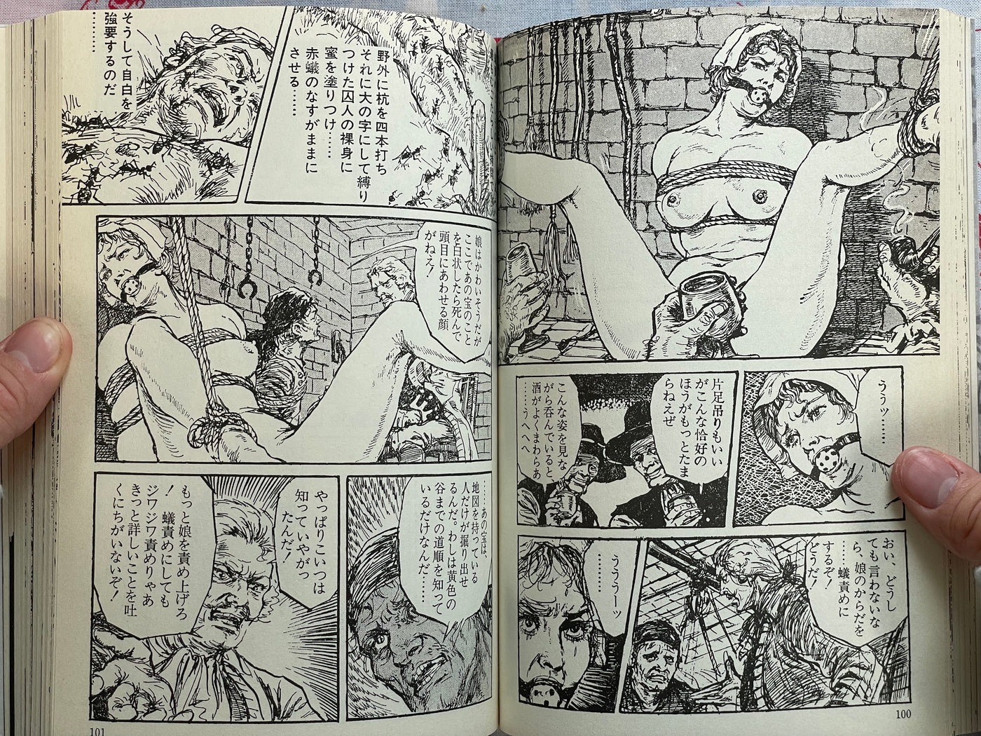 The Treasure of Baragoodha by Shouji Oki (2000)