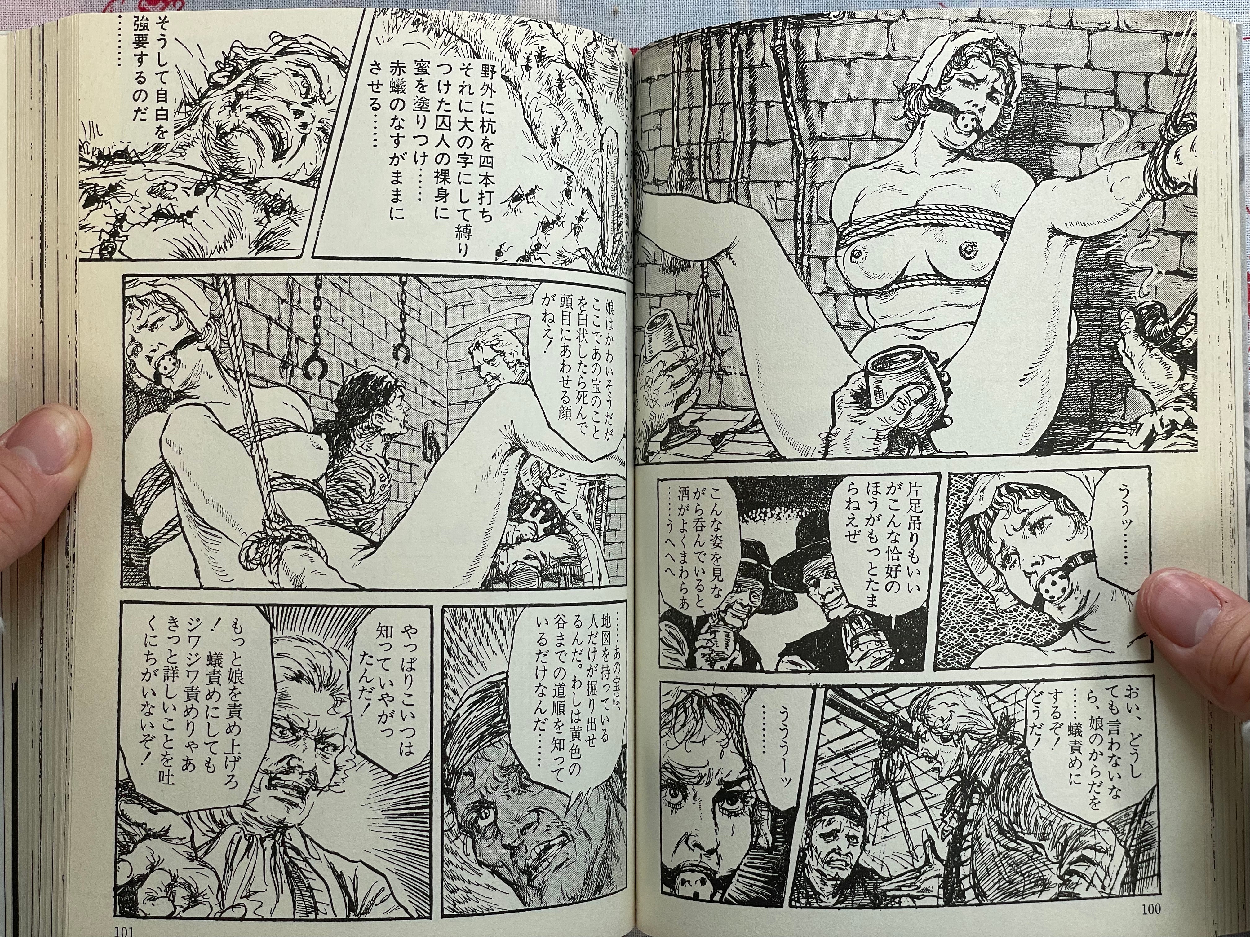 The Treasure of Baragoodha by Shouji Oki (2000)