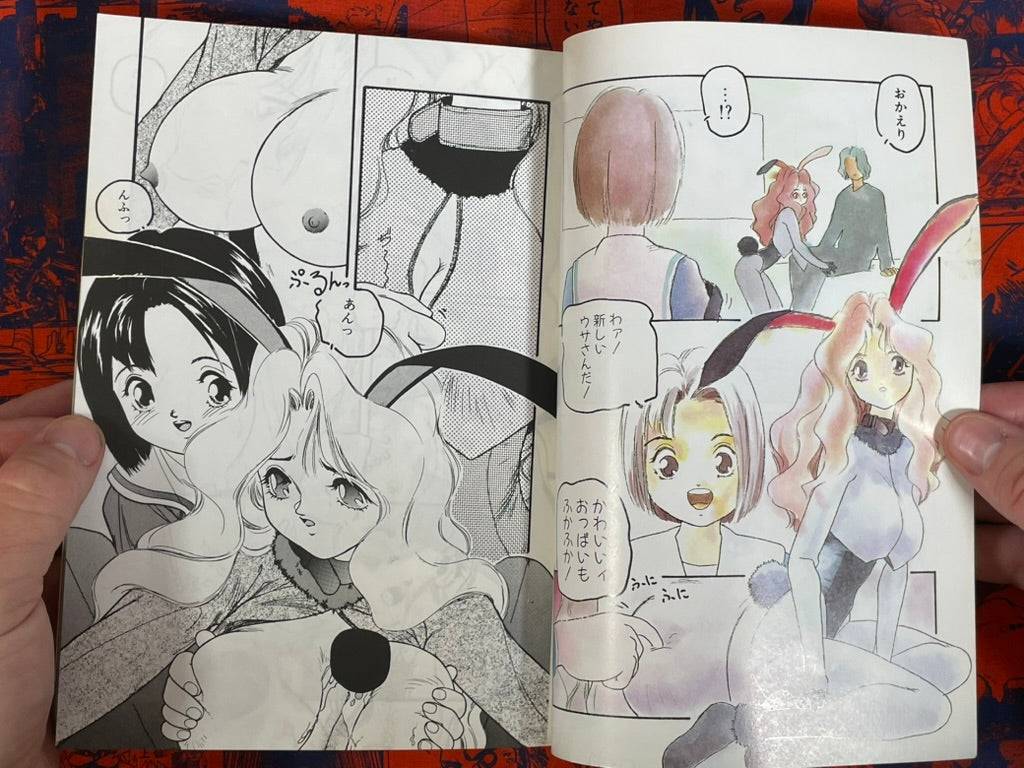 Manga Daisuki Magazine (6/1995)