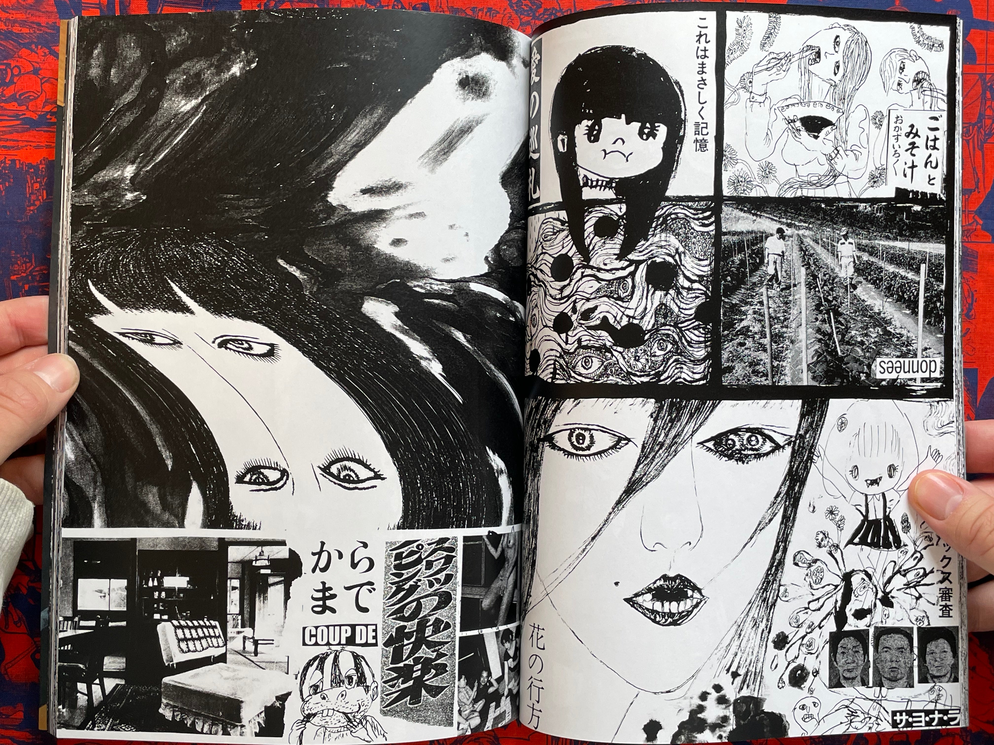 迷惑派 / Troublesome by Daisuke Ichiba (2016)