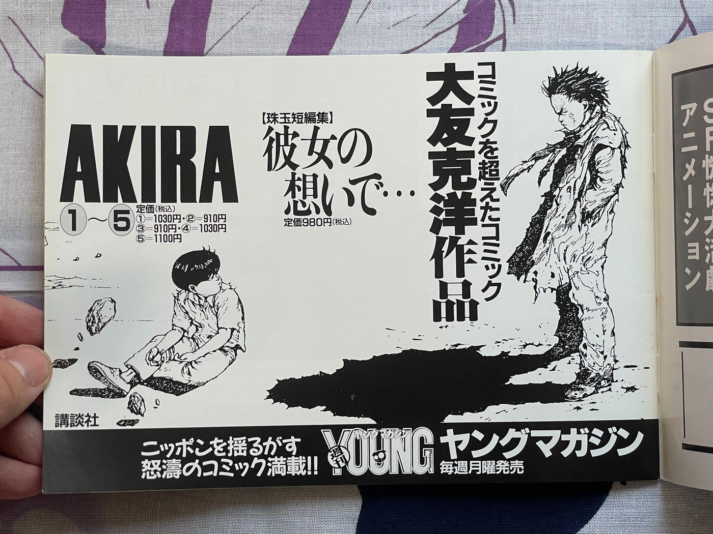 World Apartment Horror Movie Pamphlet by Katsuhiro Otomo