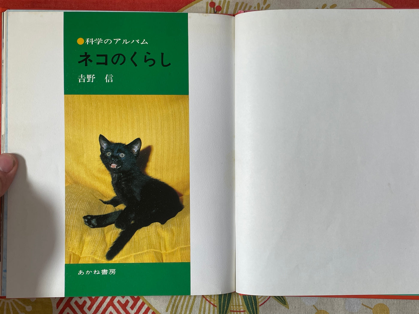 Cat's Life - Hardcover by Yoshino Shin (1980)