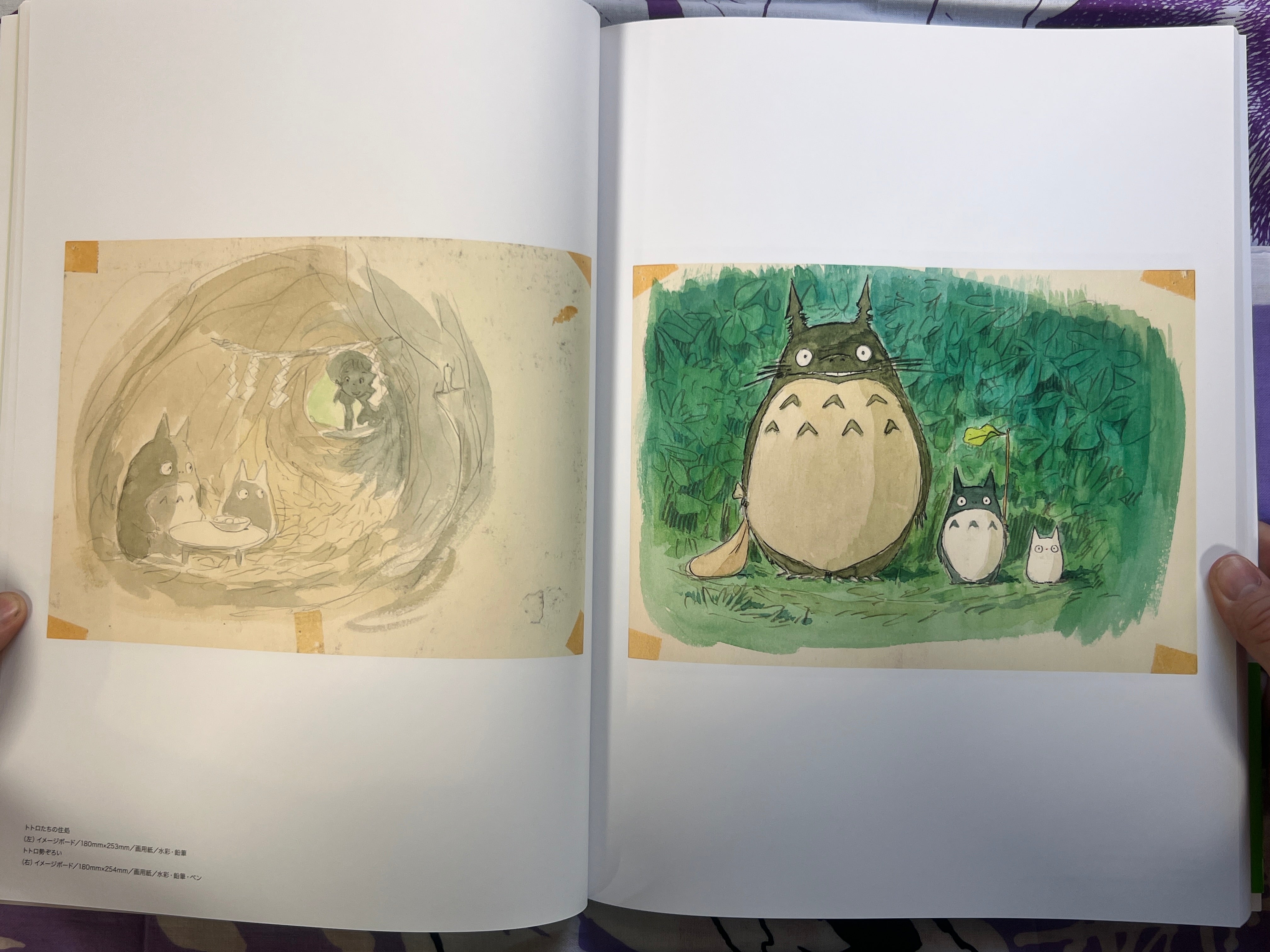 The Art of My Neighbor Totoro by Studio Ghibli (2025)