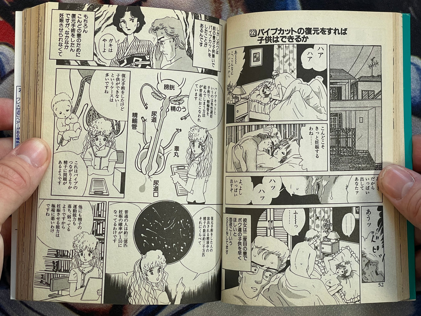 Iron Man of Sex by Yumeji Tanima (1995)